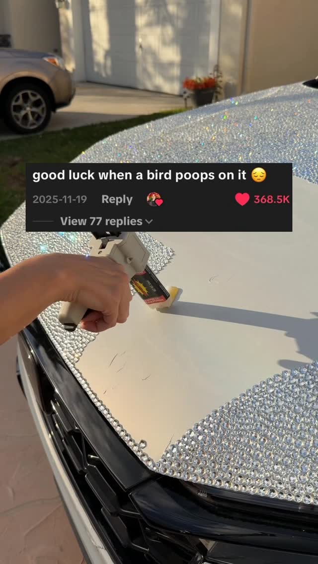 🐦‍⬛ I’m about to bring it to the beach parking lot for a few hours surrounded by seagulls just to pr…
