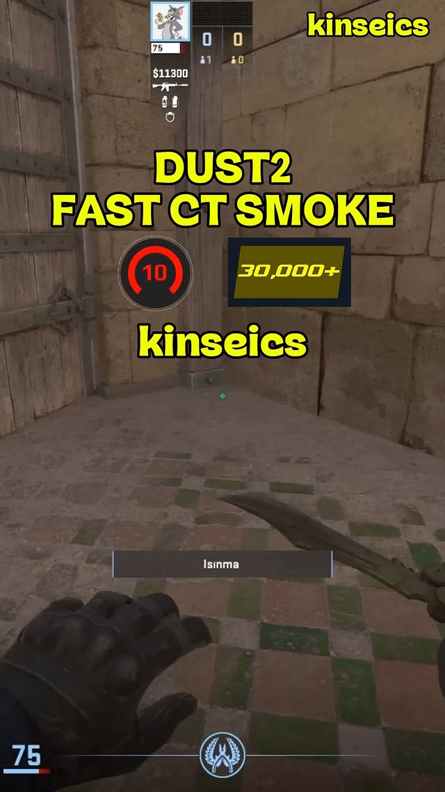 Gaming pin
