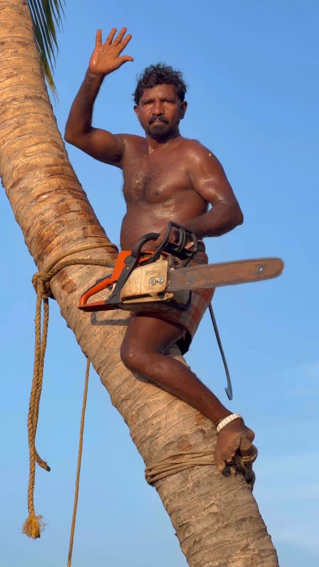 8610339350 tree cutter suyambu