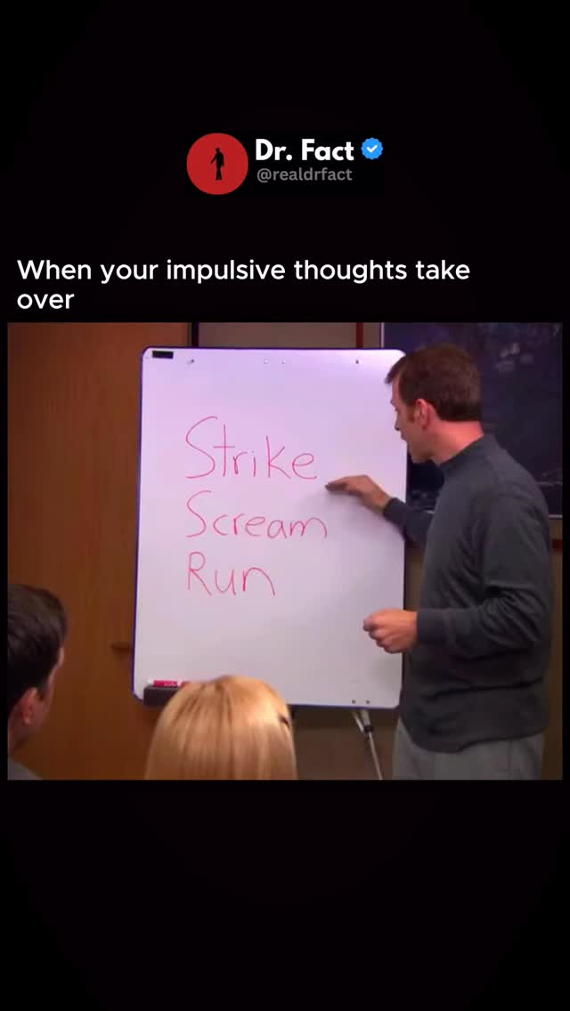 🤣 The Office is a comedy TV show that looks like a documentary about everyday life in a small office…