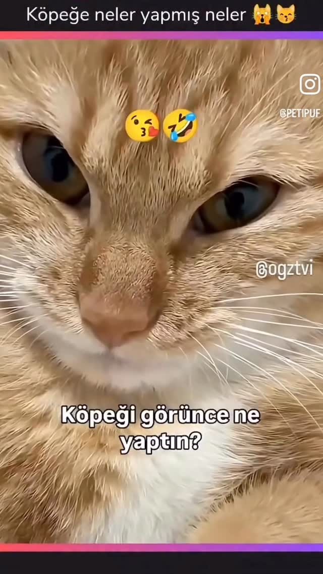 Şu hayatta çok kötülük, sıkıntı, dert, sorun var ! Arada kafanı kaldırıp, başını dikkatini sevdiğin …
