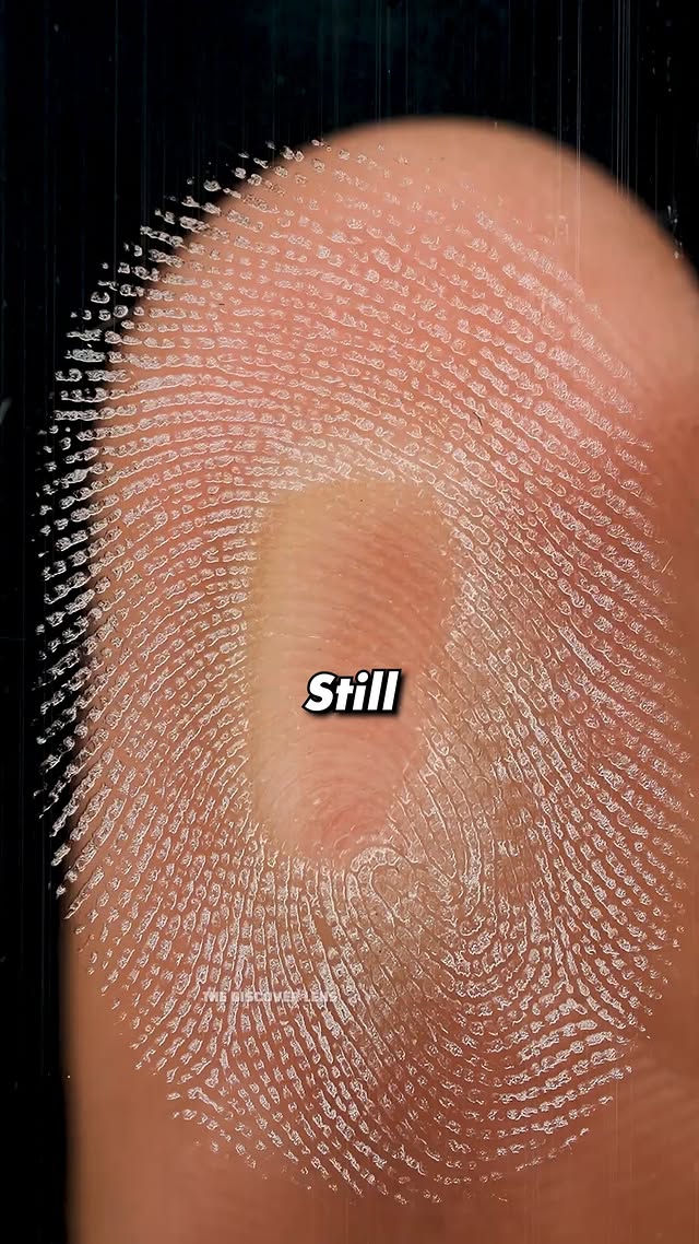 Called Touchscreen Because It Touches You.
