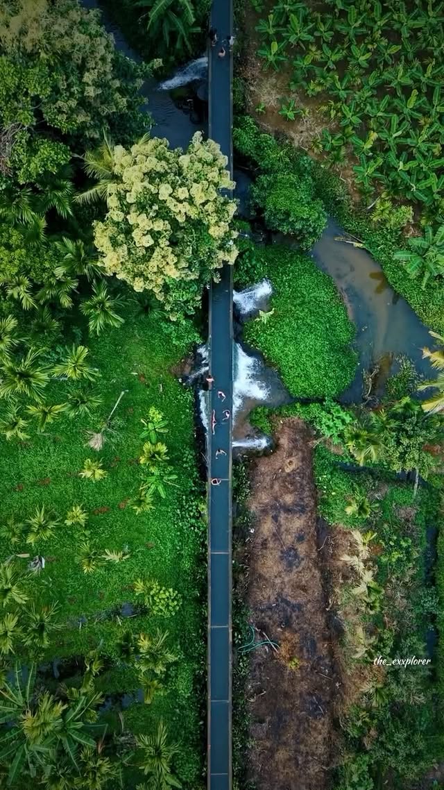 Summer from a Drone Perspective, shot on dji air 3s kerala . . #djiair3s #reelkarofeelkaro #trending…