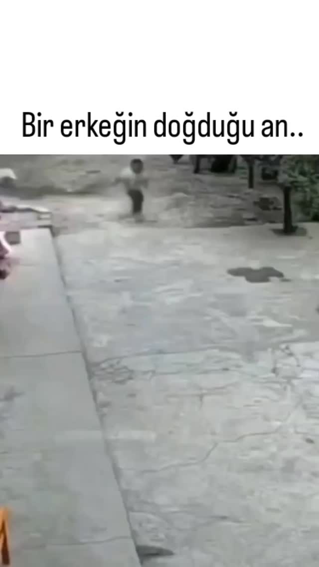 The post shares a viral video of a young boy initially fleeing from an aggressive goose before turni…