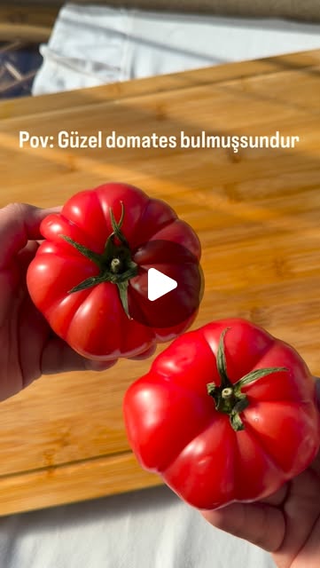 Kızarmış ekmek peynir domates bu üçlüye kim hayır diyebilirki ☺️🥖🧀🍅 #domates #yaz #ekmek #bread