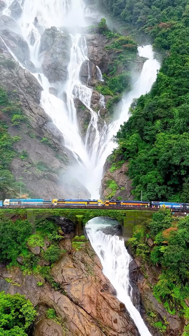 📍Dudhsagar Waterfall, Goa. #dudhsagar #goa #monsoon