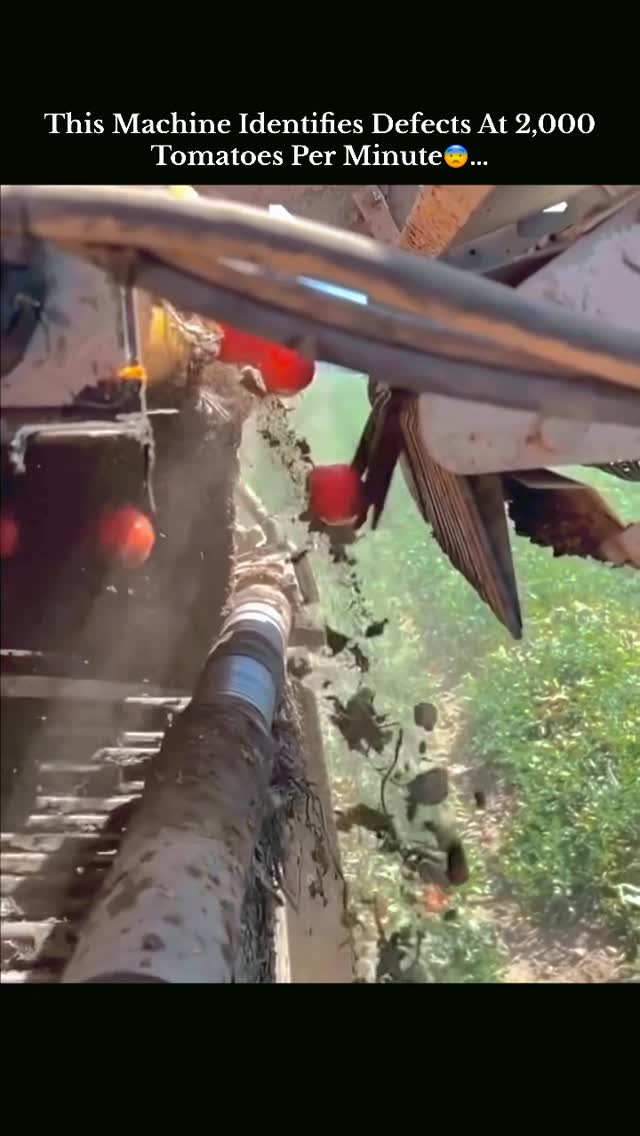 Based on optical sorting technology used in modern agriculture, specifically in processing tomato ha…