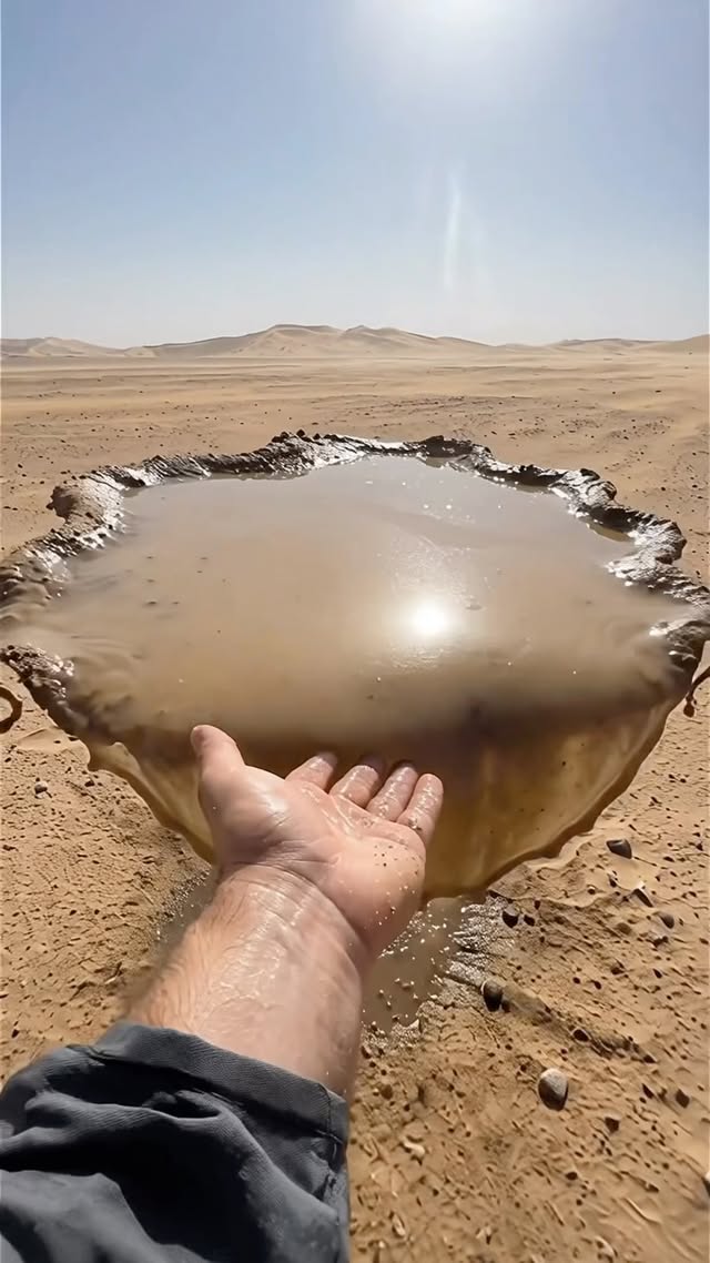 recreate this → link in bio day 13 in the desert. a puddle was just hovering above the sand. no supp…