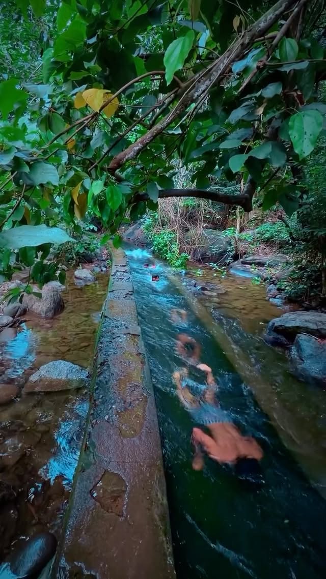 Monsoon Days are back In Kerala Location: Tk colony #reelkarofeelkaro #sukoon #trendingreels #explor…