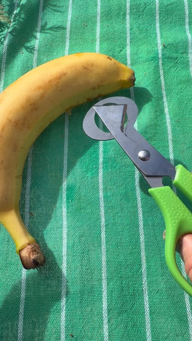 Slicing banana 🍌 #asmr #banana #foryou #gadgettest #foodtok
