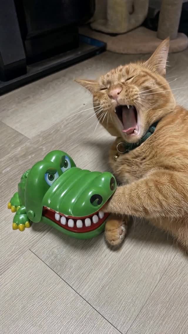 Instant regret face 😾 Made with @higgsfield.ai 🧩