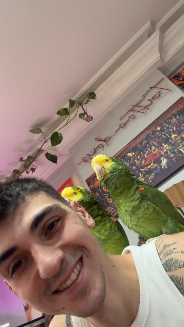 Ali babanın çiftliğinde Rihanna konseri 😂 #parrot