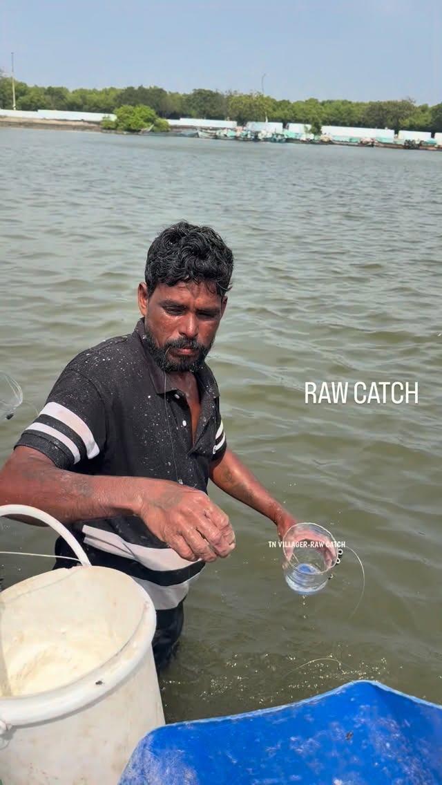 Best fishing trick