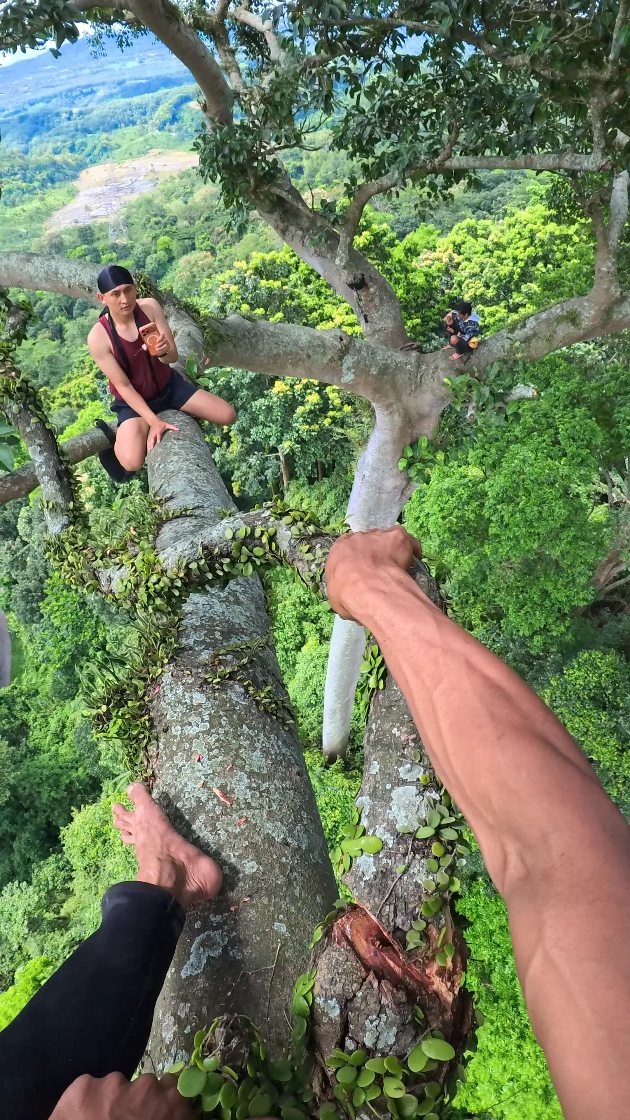 Be careful, lots of dry tree branches. #emanmadu #fyp #usa #nature #fblifestyle