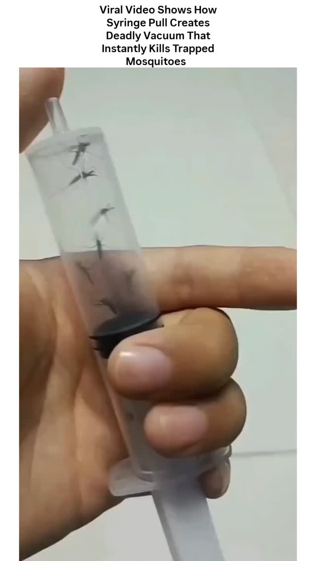 Watch this mind-blowing 14-second clip that’s exploding online: mosquitoes trapped in a syringe meet…