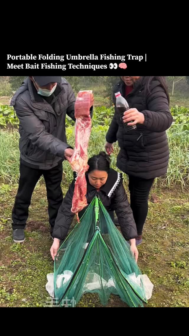 This post captures is a portable folding umbrella fishing trap, designed for catching small aquatic …