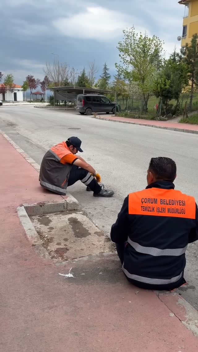Lütfen geri bırakın 🥺 Bizde daha çok anısı var 🙂