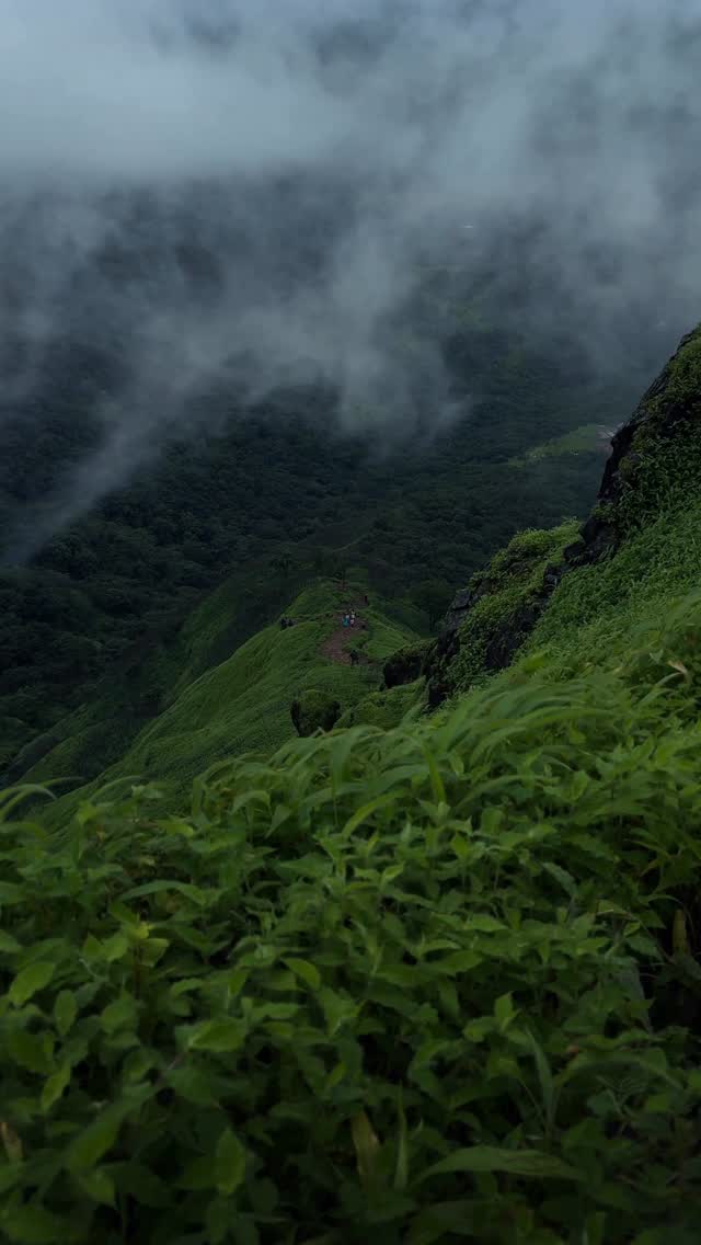 Nature pin