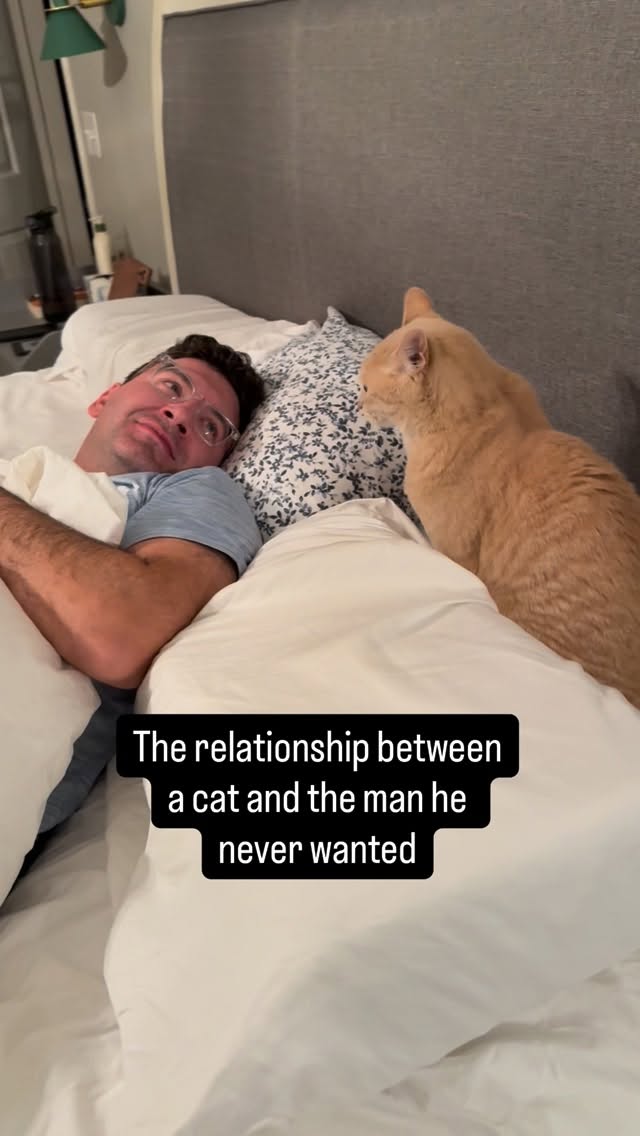 If Waffles could.. he’d go back to 2019 and delete the dating apps off of his preferred human’s phon…