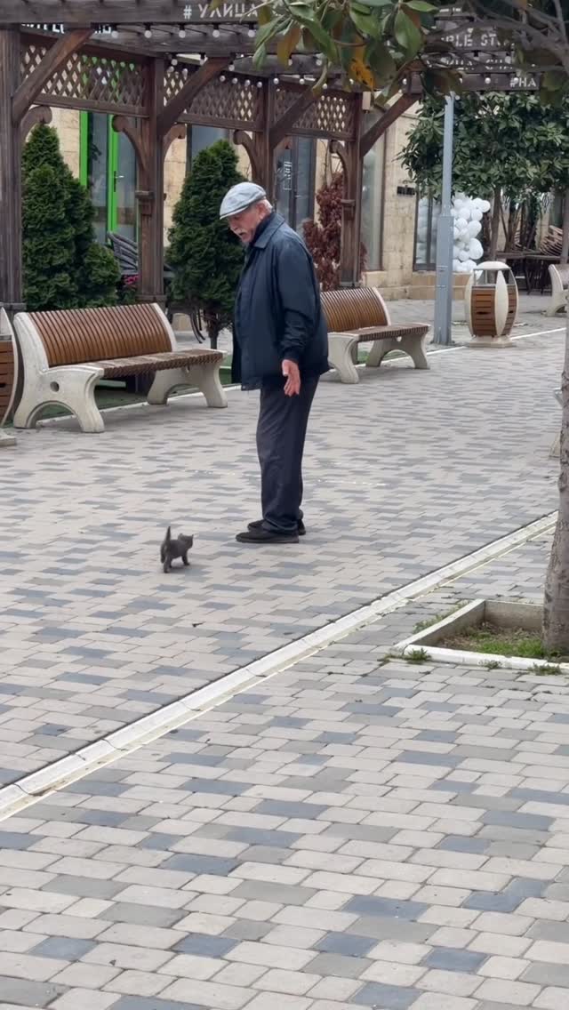 🥹❤️ он его выбрал