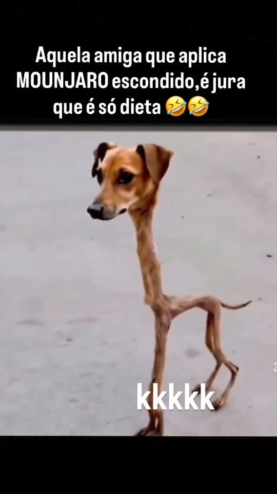 Alguém conhece? 😂 ⚠️SIGA PARA VER MAIS... Marte, frequentemente chamado de Planeta Vermelho, é o qua…