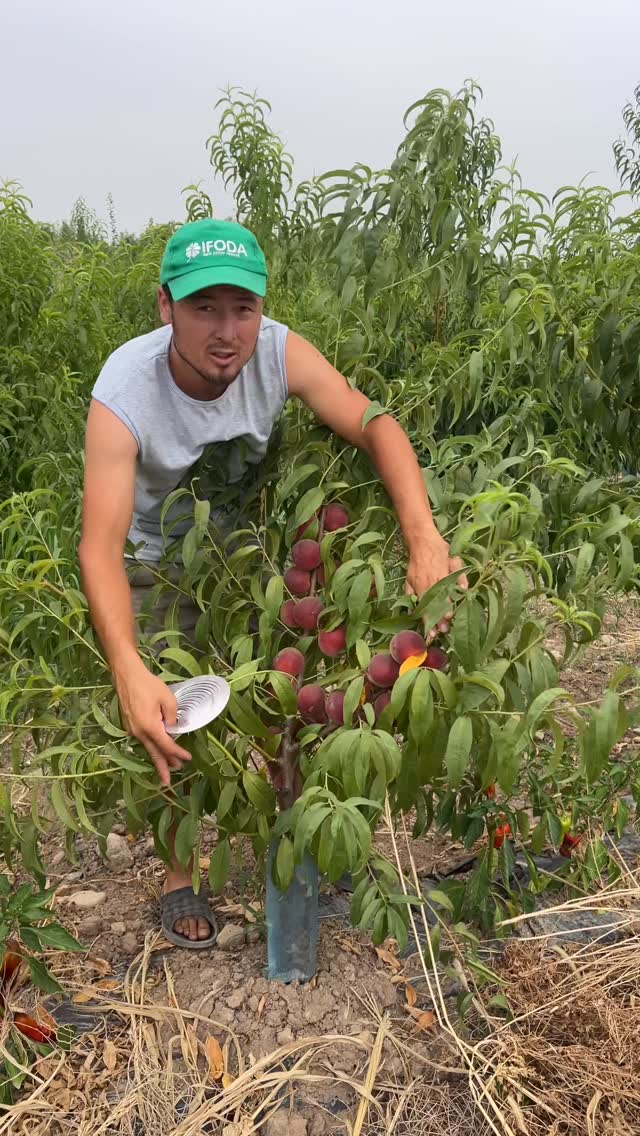 ☎️91-040-80-84☎️90-560-50-34 закас қабул қиламиз