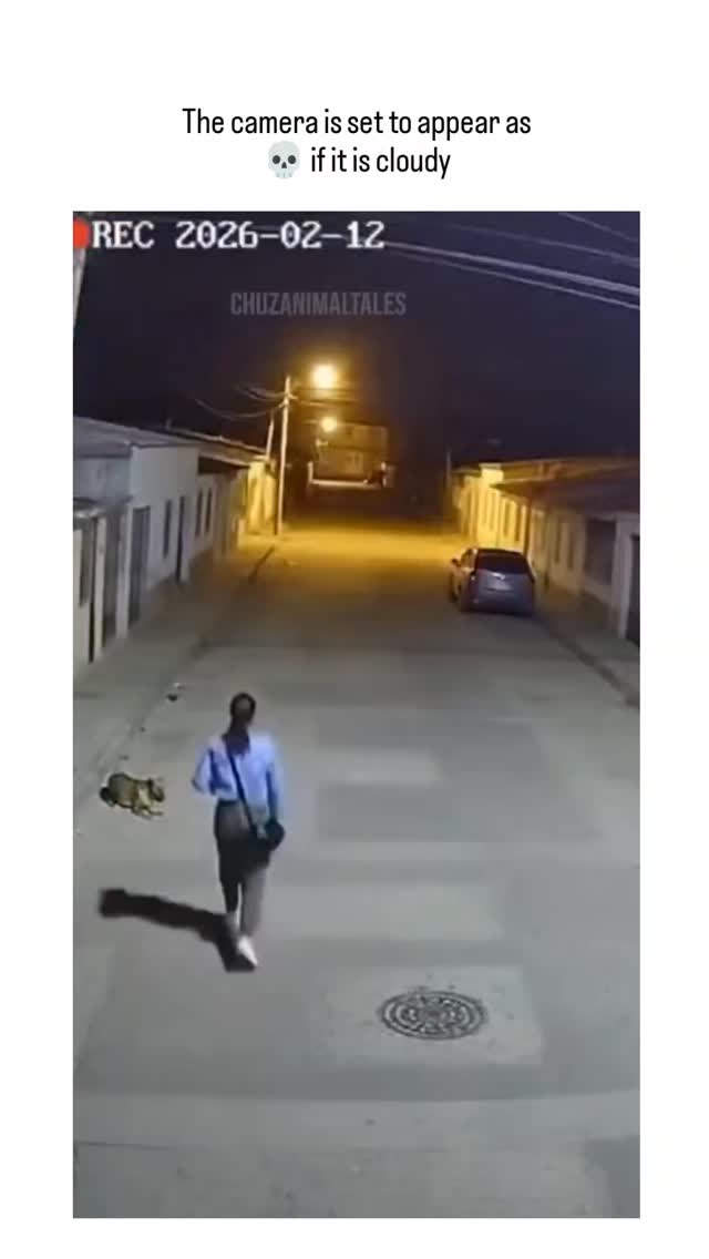- Nighttime security cam footage captures a woman walking her small dog down a quiet alley when she …