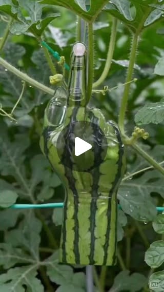 🇪🇸 スペインは都市の境界を生き生きとした肺へと変貌させています！🌳🌍 「アーバンフォレスト」プロジェクトを通して、マドリード市は130万本の木を植え、全長75キロメートルの緑地帯を創出しています。こ…