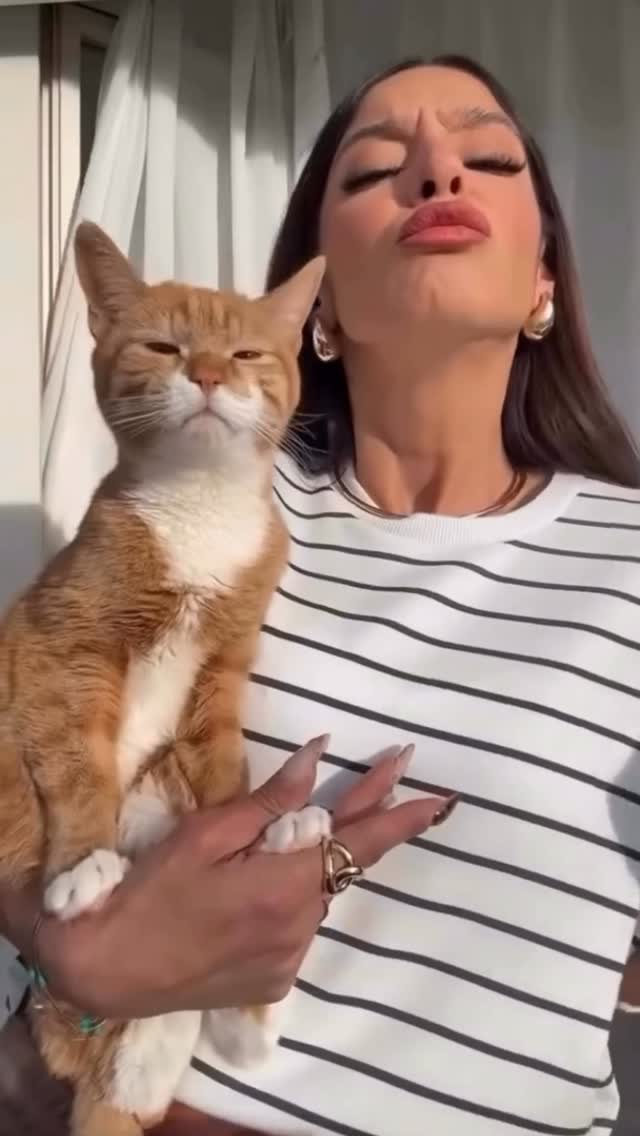 Bizde katılak dedik benziyormu bu lavuk bana ?