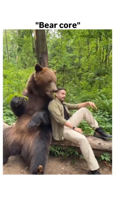 The video is a compilation of various close-range encounters between humans and bears, showcasing bo…
