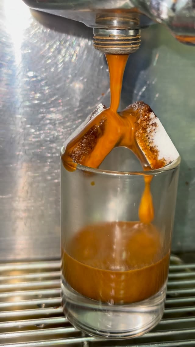 طاح قذرك يالي كنتي بقيمتك🖤☕️ #viral #coffee