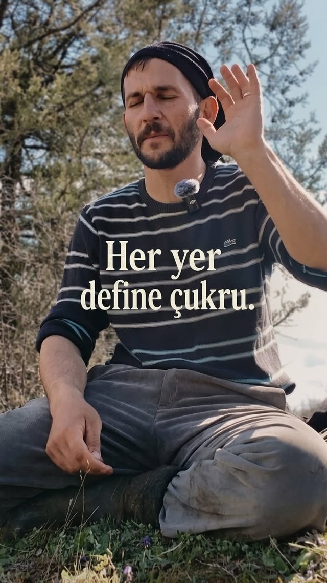 Elin oğlu toprağın altında sarı altın arar, biz üstündeki yeşil ömrün peşindeyiz. Amcamız, umudunu b…