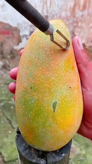 🇪🇸 スペインは都市の境界を生き生きとした肺へと変貌させています！🌳🌍 「アーバンフォレスト」プロジェクトを通して、マドリード市は130万本の木を植え、全長75キロメートルの緑地帯を創出しています。こ…
