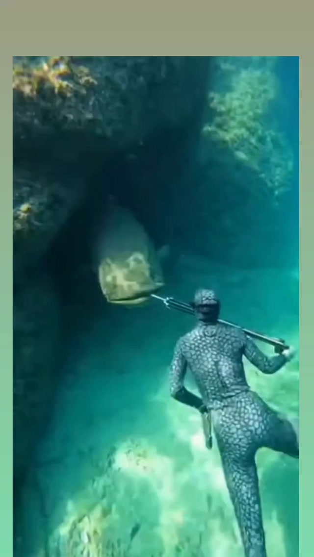 The Instagram reels post shares a 10-second underwater video of a freediver in a black wetsuit swimm…