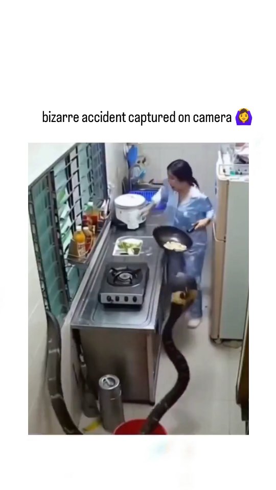 The video captures a woman in blue pajamas frying food in a compact kitchen when a hooded cobra sudd…