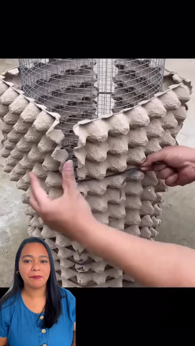 Você não faz ideia do que dá pra criar com caixas de ovos 😳🔥 Com tela, cimento e papelão, ele transf…