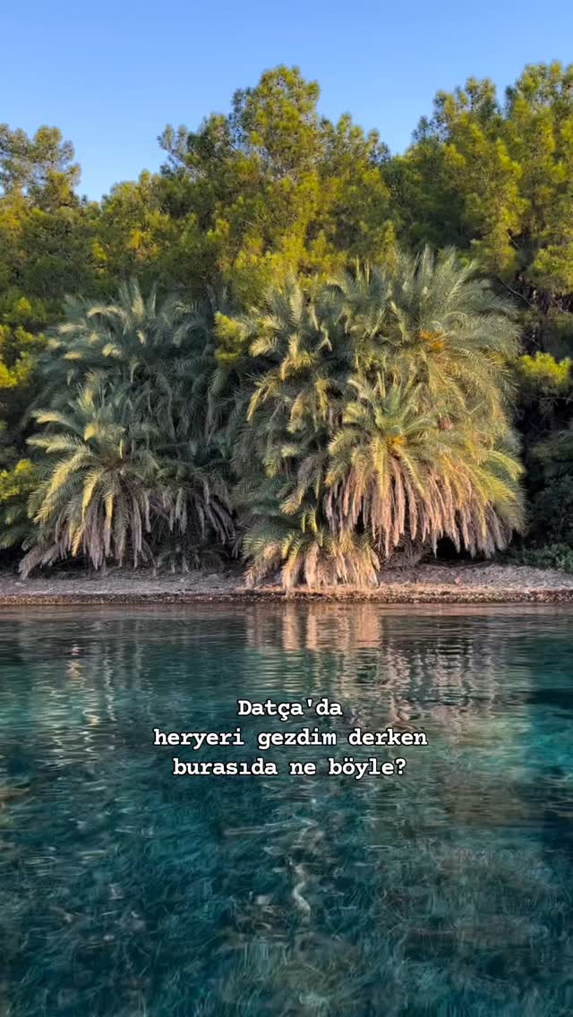📍Datça Hurmalı bük🩵 Datça’nın bitmek bilmeyen doğa harikalarından birtanesi. En yakın zamanda burayı…