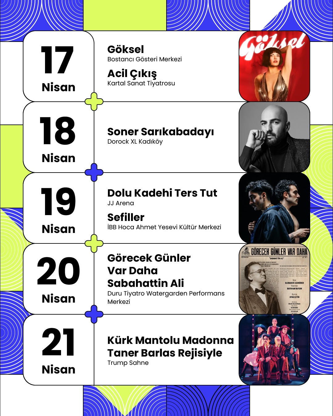 Media 5